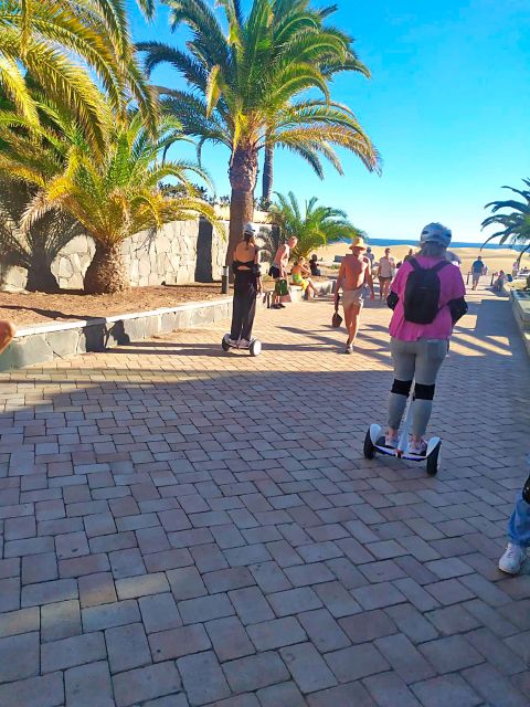 Maspalomas: 1 Hour Segway Sightseeing Tour - Getting the local story: culture, plants, wildlife, and daily life