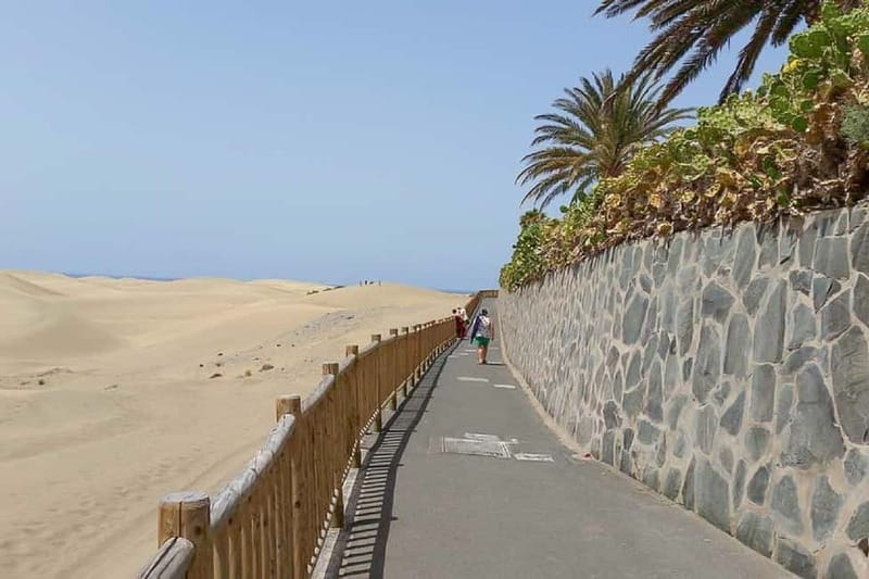 Maspalomas: 1 Hour Segway Sightseeing Tour - Price and value: why $51 can make sense here