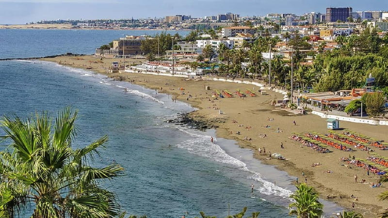 Maspalomas: 1 Hour Segway Sightseeing Tour - What to expect on the ground: pace, practice, and breaks