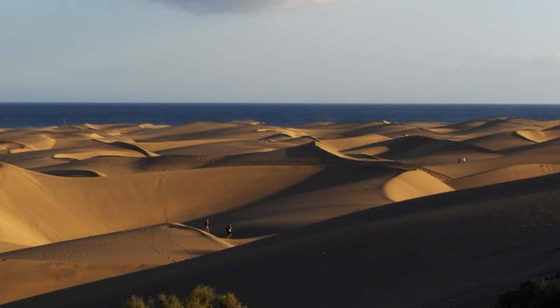 Maspalomas: 2-Seater E-Scooter Dunes Tour with Camel - Optional camel safari: 30 minutes on the dunes