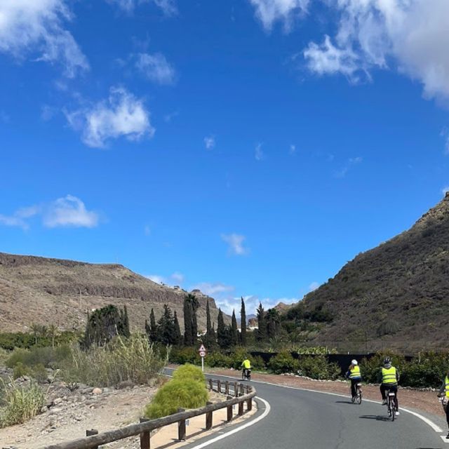 Maspalomas: Ayagaures E-Bike Mountain Tour Optional Tapas - Key Highlights That Matter Before You Go