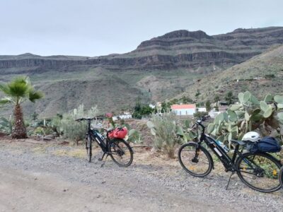 Maspalomas: Ayagaures E-Bike Mountain Tour Optional Tapas - The Ride Through Lush Valley to Ayagaures