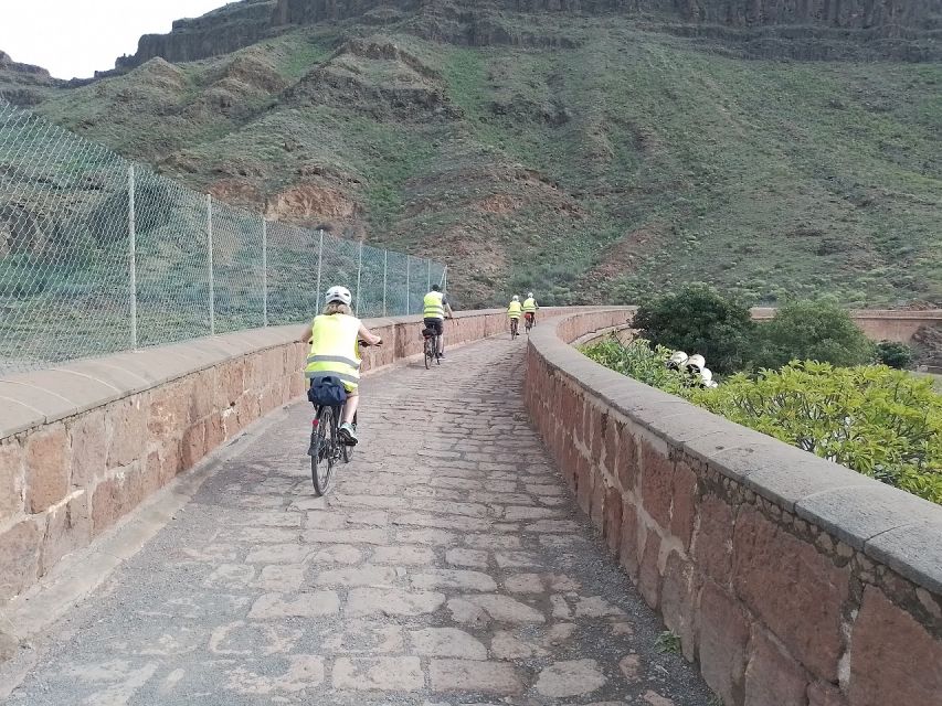 Maspalomas: Ayagaures E-Bike Mountain Tour Optional Tapas - The Downhill Return That Feels Like a Reward