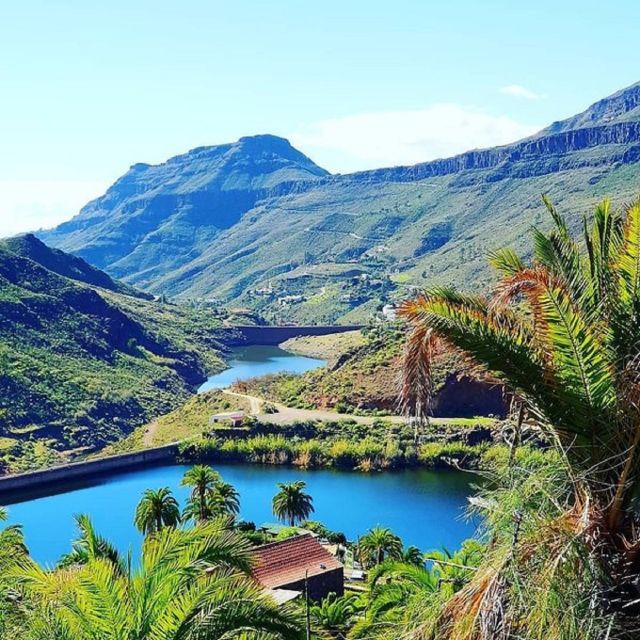 Maspalomas: Ayagaures E-Bike Mountain Tour Optional Tapas - Price and Value: Is $90 a Fair Deal?
