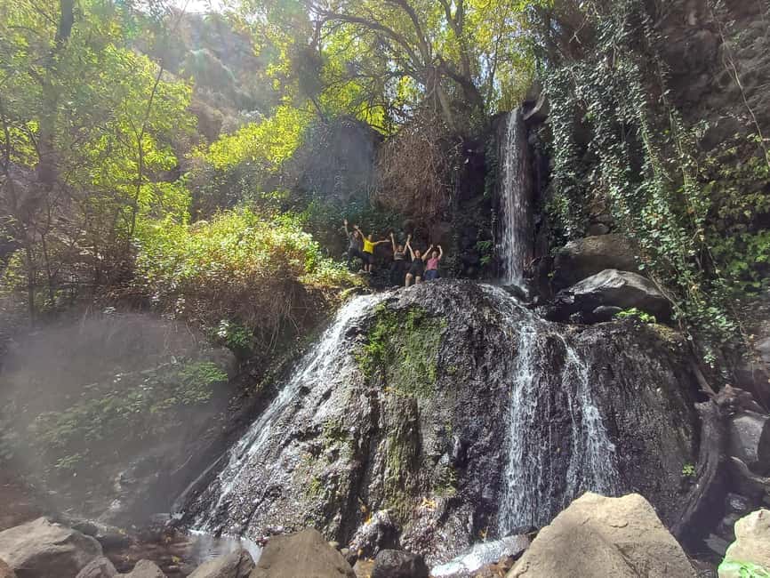 Maspalomas: Barranco de los Cernicalos Rainforest Hike - Key details that make this hike worth your time