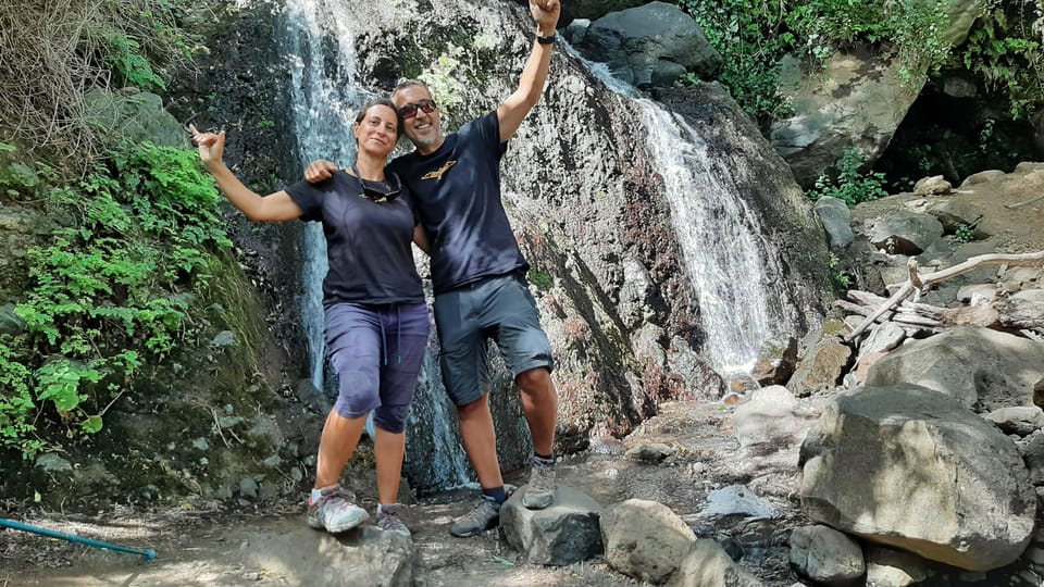 Maspalomas: Barranco de los Cernicalos Rainforest Hike - Who should book this hike in Maspalomas