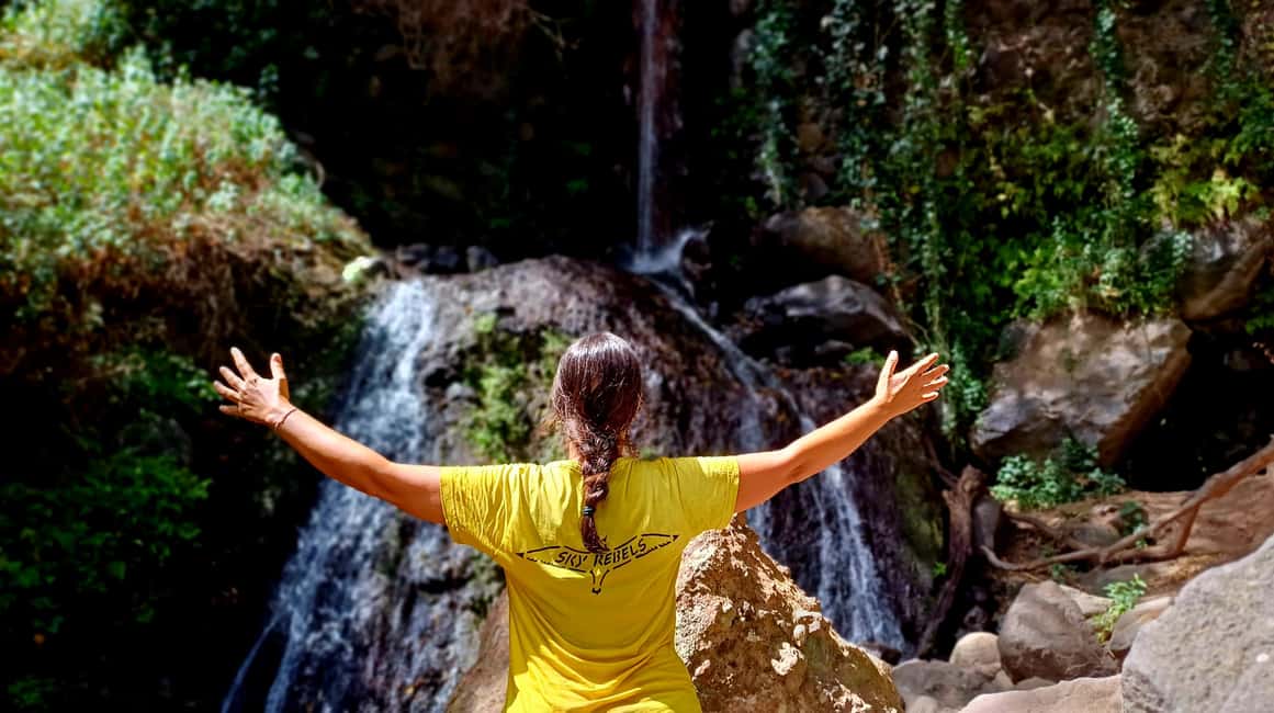 Maspalomas: Barranco de los Cernicalos Rainforest Hike - Barranco de los Cernícalos: Why this “rainforest hike” feels different