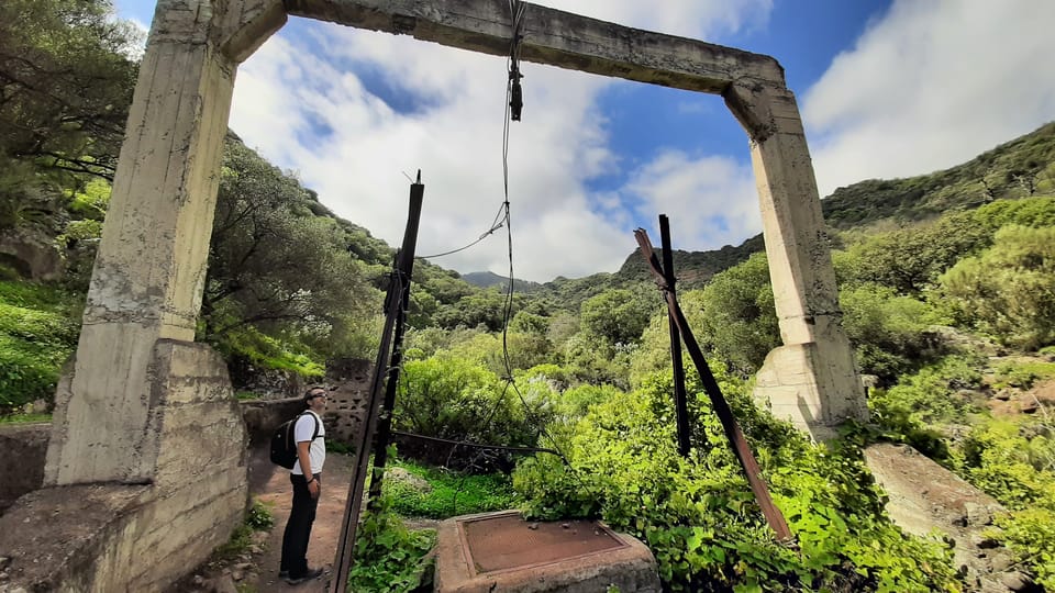 Maspalomas: Barranco de los Cernicalos Rainforest Hike - The 5.5-hour rhythm: pickup, van time, then real hiking