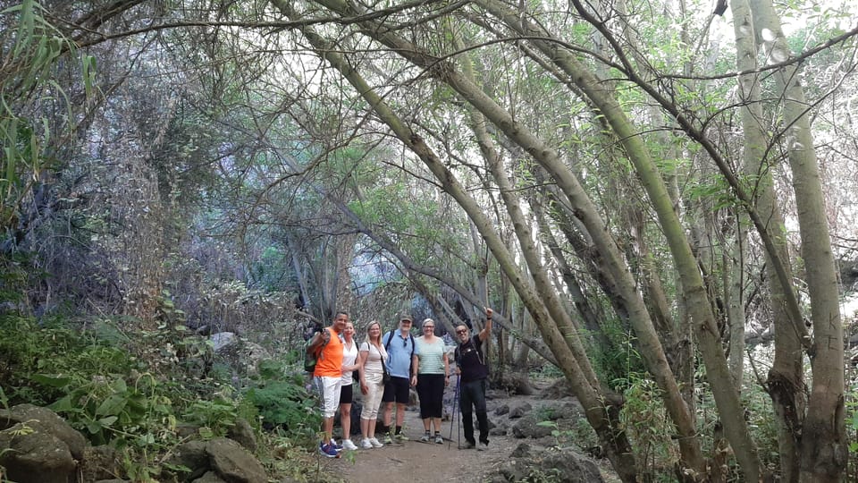 Maspalomas: Barranco de los Cernicalos Rainforest Hike - Food on the trail: sandwiches, local fruit, nuts, and snacks