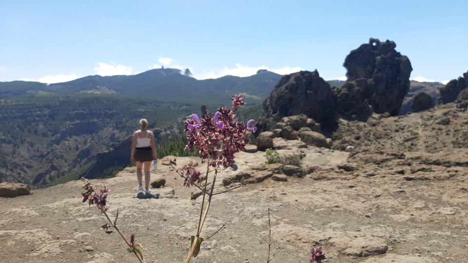 Maspalomas: Hiking to Roque Nublo with 2 authorised guides - Guided legends, viewpoints, and that included picnic