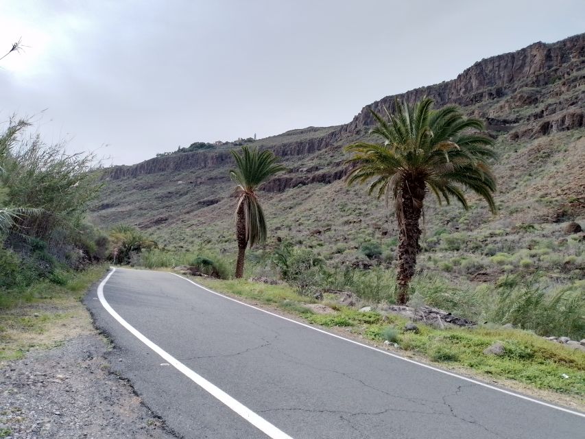 Maspalomas: Southern Coast E-Bike Tour Option Tapas Tasting - Maspalomas Dunes and La Charca: the nature reserve stops
