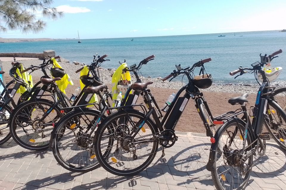 Maspalomas: Southern Coast E-Bike Tour Option Tapas Tasting - Botanical Garden of Maspalomas: short walk, real plant education