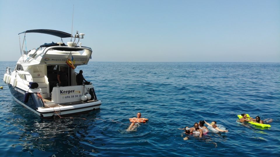 Mogan: Dolphin Watching Boat Trip with Swim Stop - Practical tips to make your day smoother