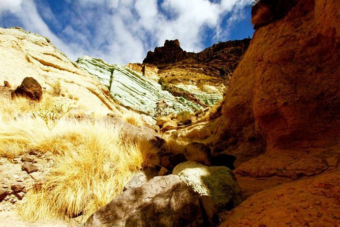 Mogán, La Aldea, Las Canteras - Big Island Tour Gran Canaria - The “Big Island” Route: What You’re Really Buying
