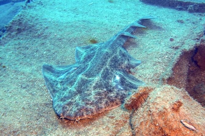 PADI Advanced Diving Course in Gran Canaria - Optional Sessions: Boat, Wreck, and Night Undersea Time