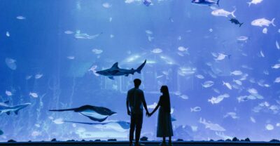 Poema del Mar Skip-the-Line Ticket - Plan your visit: time, pace, and where it fits on your day