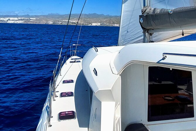 Private 5 hour catamaran cruise in south of Gran Canaria - Swimming, snorkeling, and paddleboarding in calm bays