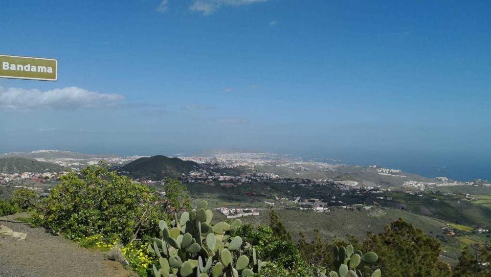 Private Bandama Caldera Volcano, Botanic Garden & Old Town - Botanical Garden of the Canaries: the plant-nerd walk you’ll actually enjoy