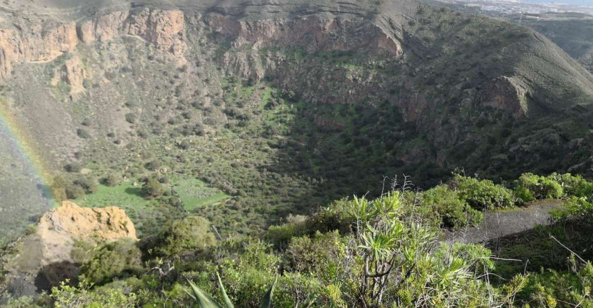 Private Bandama Caldera Volcano, Botanic Garden & Old Town - Old Town Las Palmas: cathedral area and a chance to roam