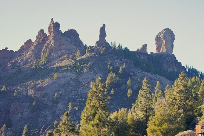 Private Excursion The mountains of Gran Canaria for 2 to 4 people - Price and what you really get for $229.30