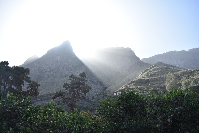 Private Shore Excursion in Gran Canaria - Mirador Pico de Bandama: volcanic crater views over Las Palmas