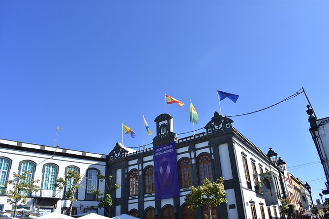 Private Shore Excursion in Gran Canaria - Valle de Agaete: coffee plantation, wine cellar, tapas, and tasting time