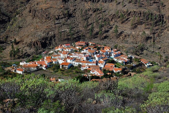 Private shore excursion in Gran Canaria the miniature continent - Key highlights to know before you go