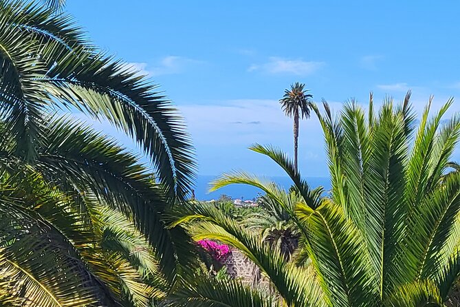 Private Tour from the Port of Las Palmas to Teror Firgas Arucas - Price and Value: What You’re Paying For