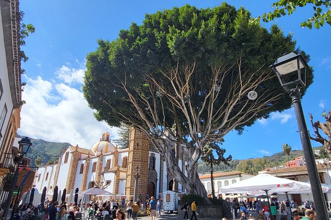 Private Tour from the Port of Las Palmas to Teror Firgas Arucas - What To Expect Inside the Vehicle and On Foot