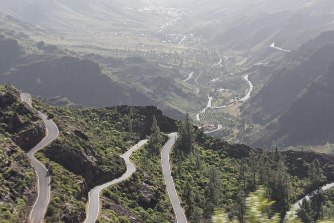 Private Tour Guide in Gran Canaria - Price and value: $675.82 per group for tickets, transport, and private guidance
