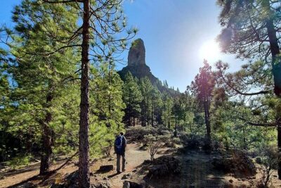 Professional climbing guide - Meet Your Guide at Las Palmas and Get Set Up