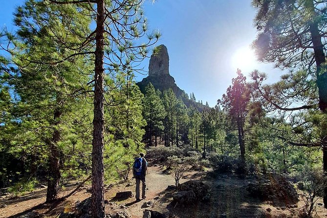 Professional climbing guide - Meet Your Guide at Las Palmas and Get Set Up