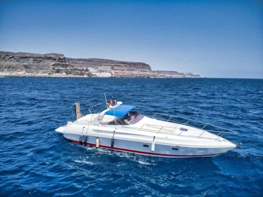 Puerto de Mogán: PRIVATE Yacht for up to 10 persons - Inside the private yacht setup for up to 10