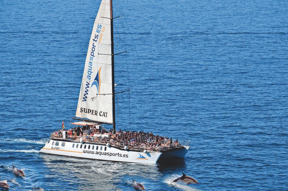 Puerto Rico : 2 hour Dolphin Catamaran Excursion - Puerto Rico Port vs Hotel Pickup in the South (Bahía Feliz to Mogán)