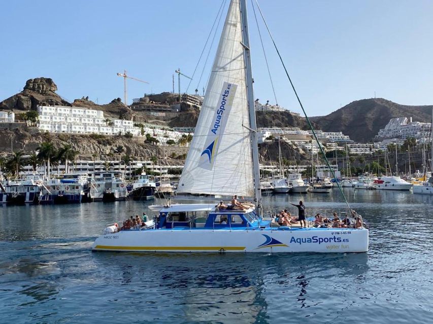 Puerto Rico: 4-Hour Catamaran Excursion in the South - Safety and Boarding Tips That Keep It Stress-Free