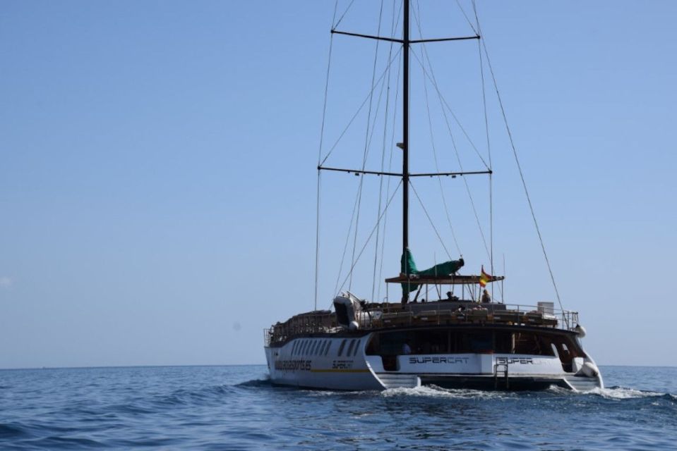 Puerto Rico de Gran Canaria: Premium Dolphin Catamaran Tour - Who This Tour Fits Best (and Who Should Rethink It)