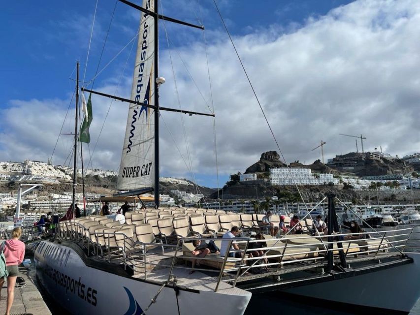 Puerto Rico de Gran Canaria: Premium Dolphin Catamaran Tour - Onboard Comfort: Chairs, Sunbeds, and the Bar-and-Lunch Rhythm