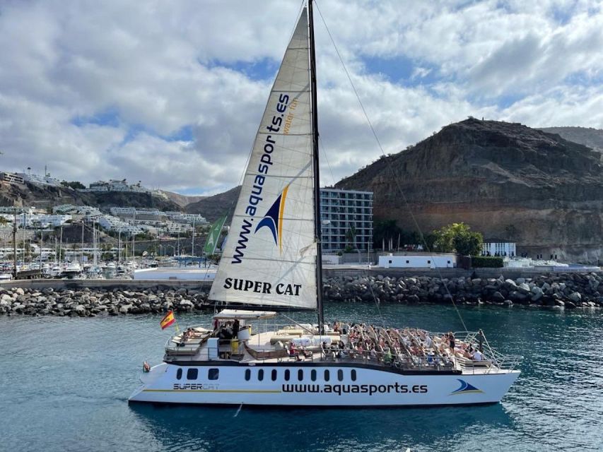 Puerto Rico de Gran Canaria: Premium Dolphin Catamaran Tour - The Anchored Swim Stop: Snorkel, Goggles, and a Quick Escape From the Wind