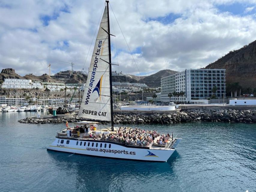 Puerto Rico de Gran Canaria: Premium Dolphin Catamaran Tour - Banana Boat Plus Discounted Water Sports: How to Build Your Day