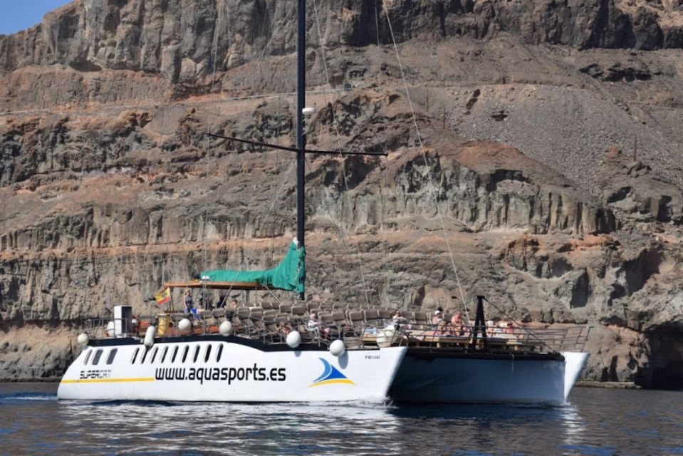 Puerto Rico de Gran Canaria: Premium Dolphin Catamaran Tour - Pickup and Timing Only in the South: Plan Around Bahia Feliz to Mogán