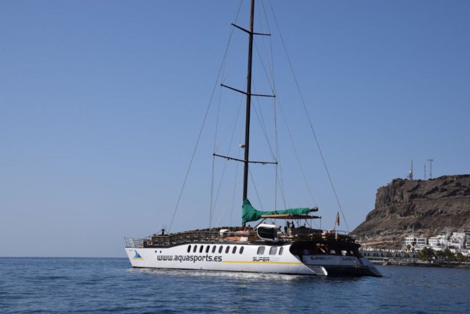 Puerto Rico de Gran Canaria: Premium Dolphin Catamaran Tour - Price Value Around $75: What You Really Get for Your Money
