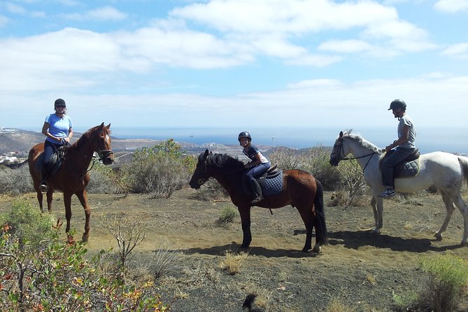 Relaxing Horse Riding Tour in Gran Canaria - Key Highlights You’ll Feel Right Away