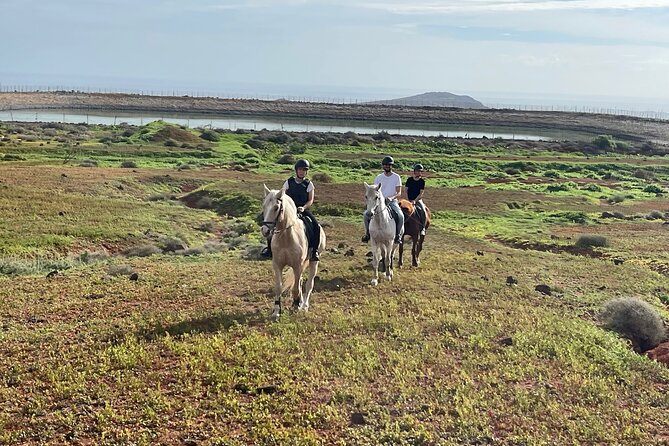 Relaxing Horse Riding Tour in Gran Canaria - Horse Riding in Gran Canaria: Why This One Works for Most People