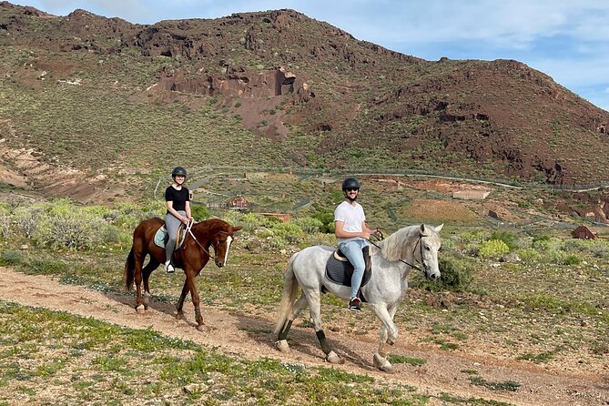 Relaxing Horse Riding Tour in Gran Canaria - The Main Ride: Pair or Small Group Through Fields