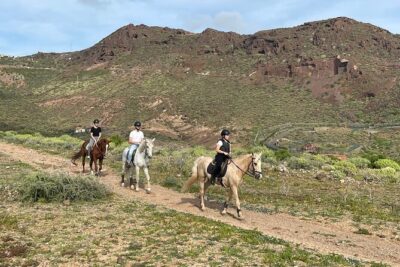 Relaxing Horse Riding Tour in Gran Canaria - Where You Start: Camino del Cardonal (Las Palmas)