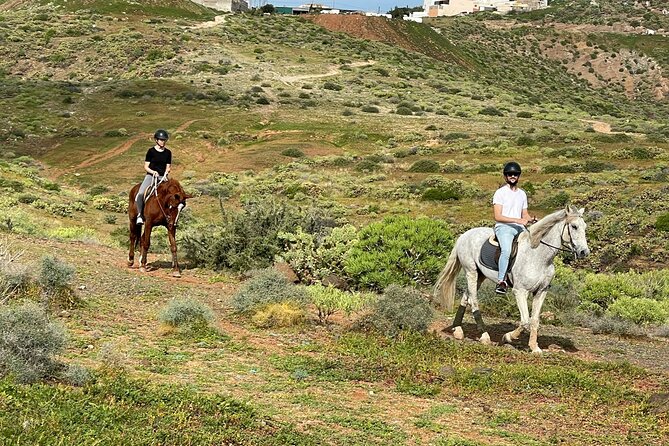 Relaxing Horse Riding Tour in Gran Canaria - Who Should Book This Horse Riding Tour