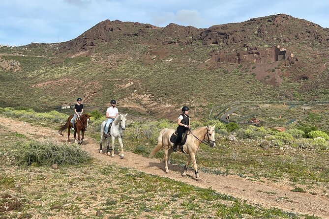 Relaxing Horse Riding Tour in Gran Canaria - Where You Start: Camino del Cardonal (Las Palmas)