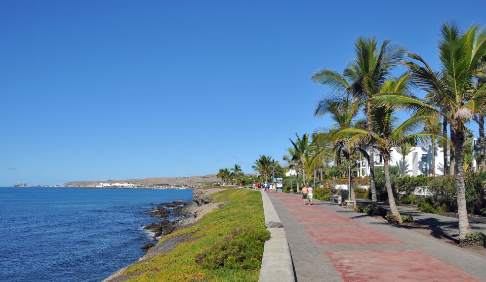 Rent a City Bike 18 gears from 9 hours to 7 days: Maspalomas - Maspalomas Botanical Park: plants, birds, and a quieter pace