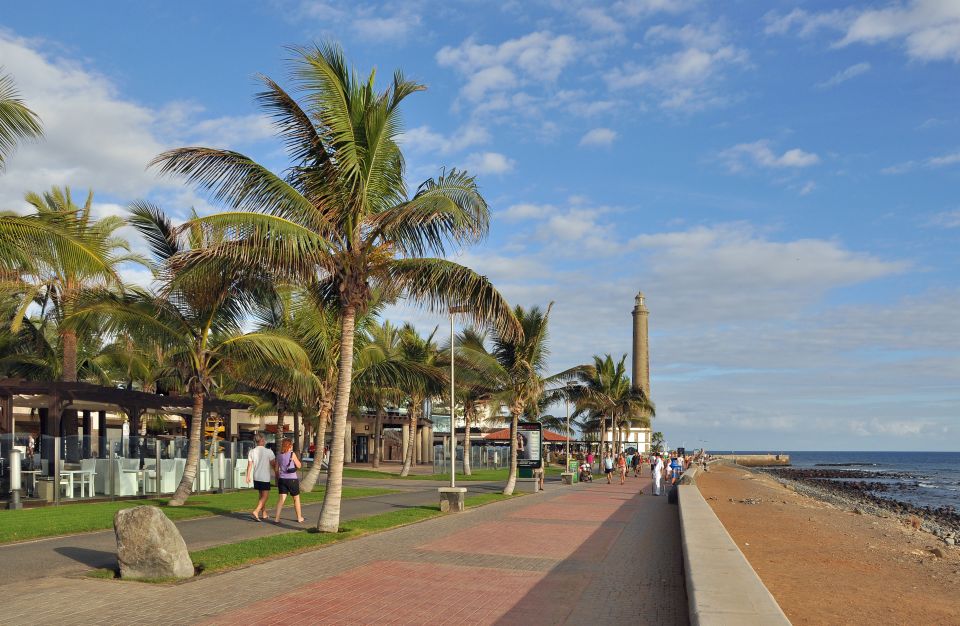 Rent a City Bike 18 gears from 9 hours to 7 days: Maspalomas - Charca (Oasis of Maspalomas): the lagoon for bird life