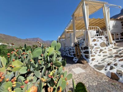 Spanish Cured Meats & Wine Tasting Tour in Mogan - Getting there: the simple start (and the only real hassle)